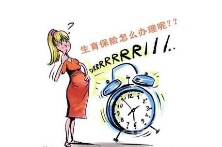 女性生育保險如何購買？ 第1張